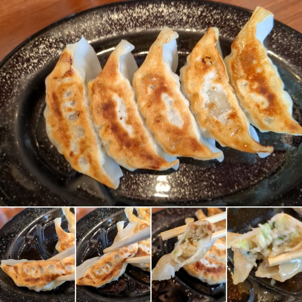 「餃子(5個)　350円」@北海道らーめん ひむろ 浅草店の写真