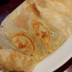 羽根付き焼餃子他