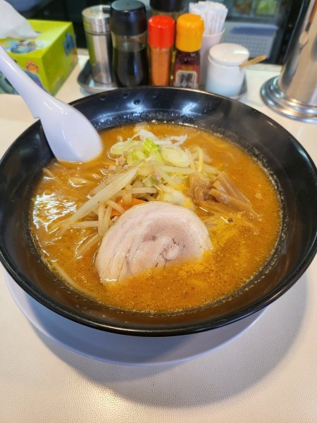 「味噌」@麺や てっちんの写真