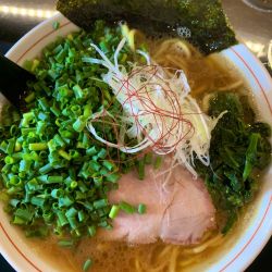 豚骨醤油ラーメン青ネギ固め多め