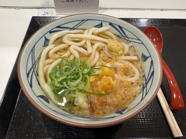 「かけうどん（並盛）390円→340円」@丸亀製麺 イーサイト高崎店の写真