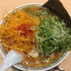 辛ねぎ味噌ラーメン（ねぎトッピング）
