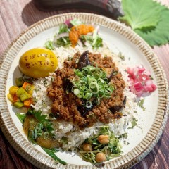 すぱいすにきいてみた＠plantsの画像