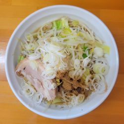 野菜豚そば 塩 麺少なめ