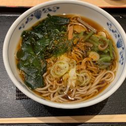 山菜わかめそば 500円