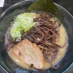 博多 鷹マルの画像