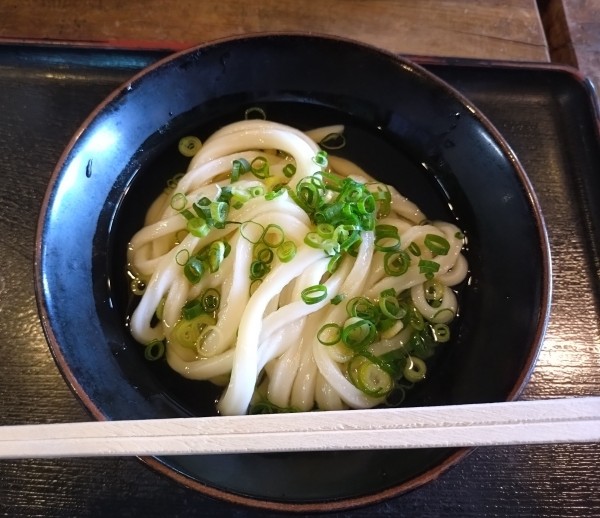 「かけうどん小280円」@ヨコクラうどんの写真