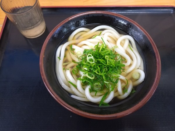 「かけうどん小270円」@やなぎ屋 西大浜店の写真
