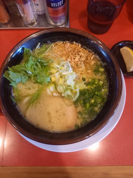 「極み鶏￥920＋半チャーハン￥380」@横浜家系ラーメン 清六家 みらい平店の写真