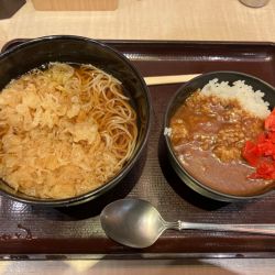 ミニカレー丼セット(かけそば)