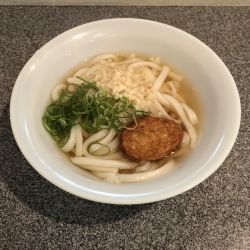 薩摩うどん