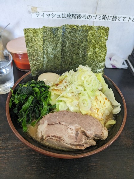 「ヤサイラーメン」@雷家の写真