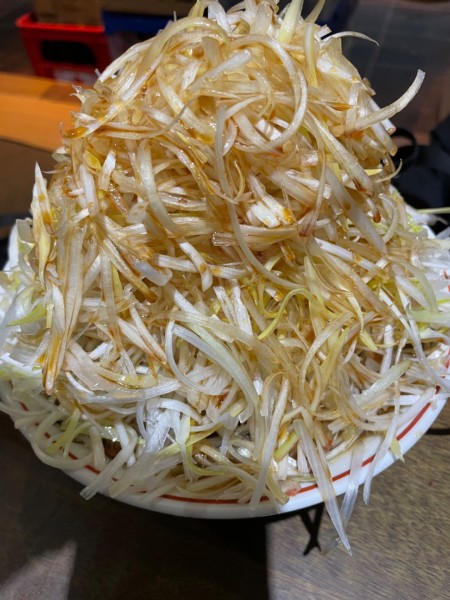 「ネギラーメン」@つけ麺 アメミ屋の写真