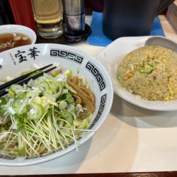 宝そば・半チャーハンセット