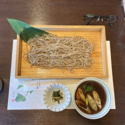 鴨せいろ蕎麦《温》