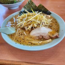 ネギ味噌ラーメン中盛ねぎあえまし