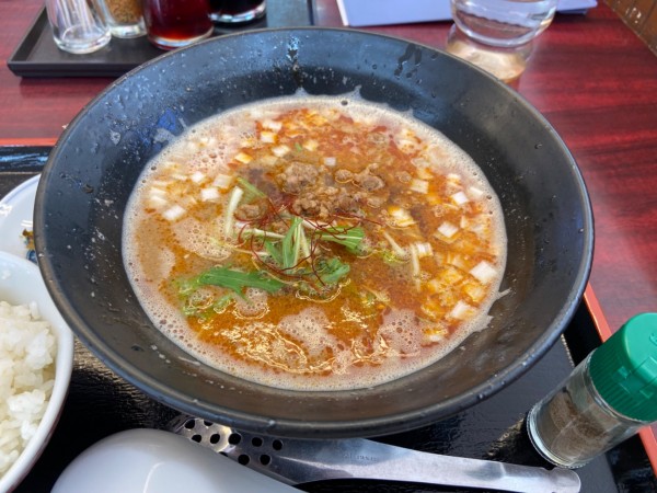 「四川風坦々麺(880円)」@うまいめんくい亭 日立川尻店の写真