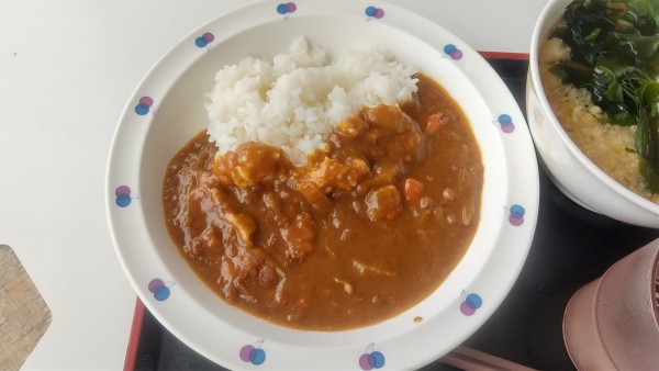 「県庁カレー500円」@鳥取県庁食堂の写真