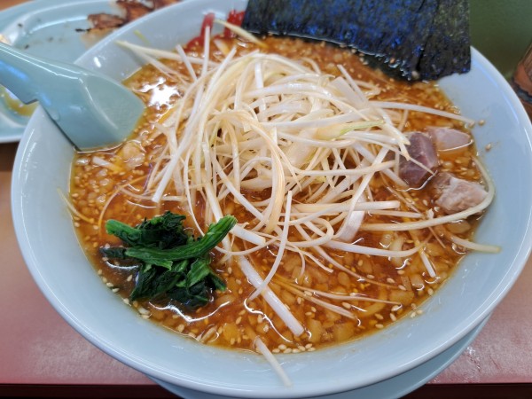 「辛味噌ネギラーメン背脂変更」@ラーメン山岡家 ひたちなか店の写真