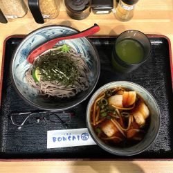 辛豚つけ蕎麦　温（少）