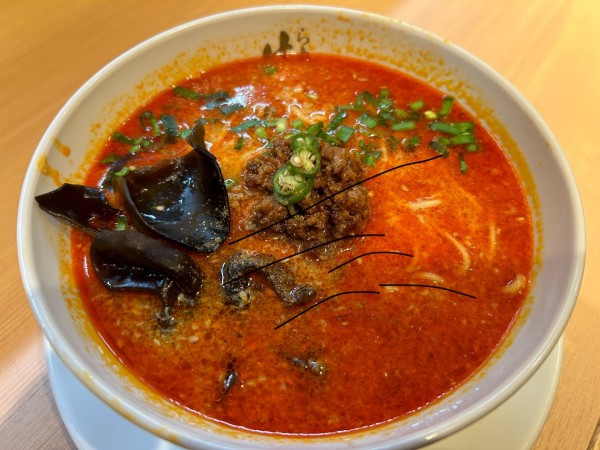 「酸辣坦々麺 950円」@らぁ麺 はやし田 新秋津店の写真