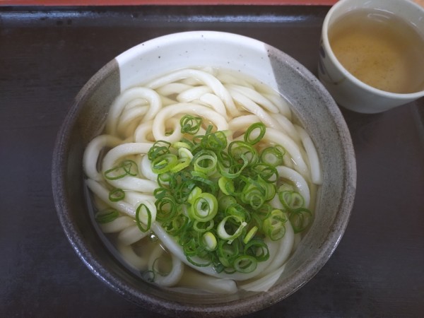 「かけうどん250円」@桃山亭 丸亀本店の写真
