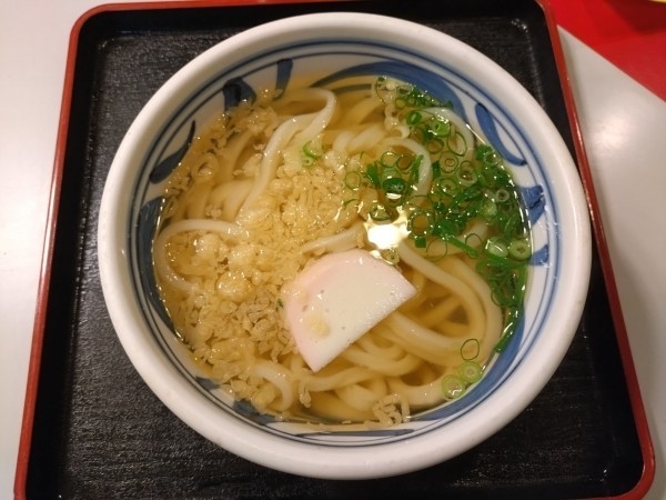 「かけうどん385円」@おか泉の写真