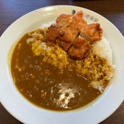 CoCo壱番屋 中川区中郷店の画像