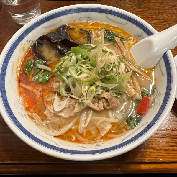 「薬膳味噌 中辛」@ラーメン・餃子 ハナウタの写真