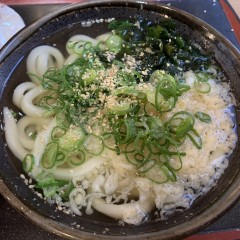 讃岐うどん こがね製麺所 森下店の画像