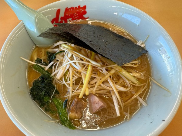 「醤油ネギラーメン」@ラーメン山岡家 厚木店の写真