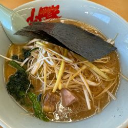 醤油ネギラーメン