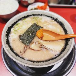 とんこつふつう