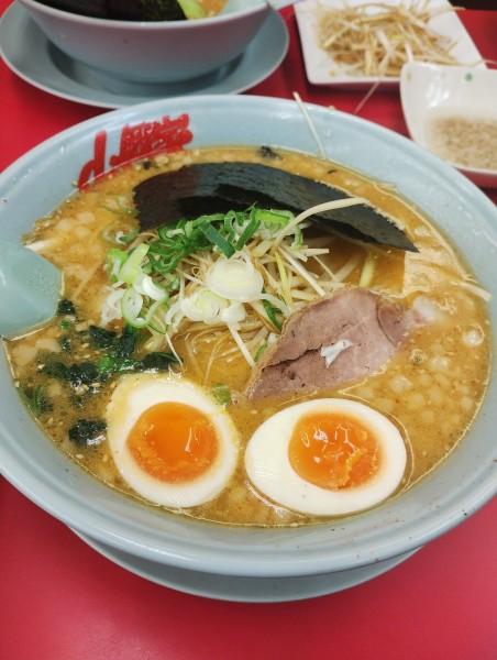 「特製味噌ラーメン(中盛)(長ネギ)(背脂)(味玉)(焼豚丼)」@ラーメン 山岡家 高崎中尾店の写真