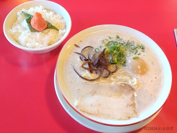 「ばりかた（＋半熟味玉）」@長浜ラーメン 松吉の写真