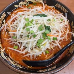 辛みそラーメン(790円)＋大盛(170円)