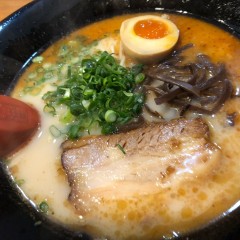 ムツゴロウの画像