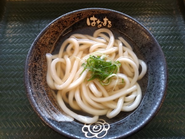 「かけうどん330円」@はなまるうどん 木太店の写真