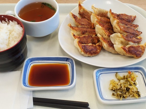 「ぎょうざ15個定食」@長崎ちゃんぽん リンガーハット イオン東雲店の写真