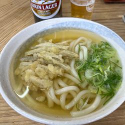 ごぼう天うどん
