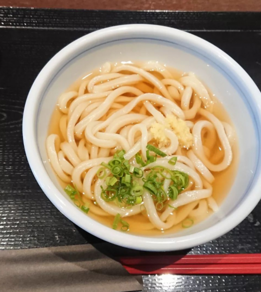 「かけうどん」@はやし家製麺所 高松空港店の写真