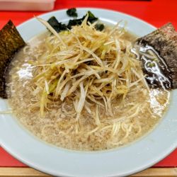 ねぎラーメン850円