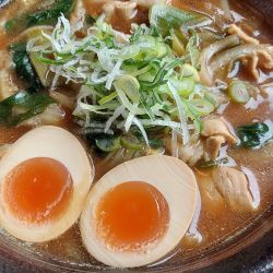 和風カレーラーメン・TP味玉820円