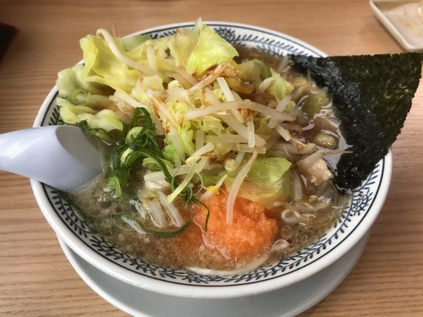 「肉そば＋茹で野菜」@丸源ラーメン 西新井店の写真