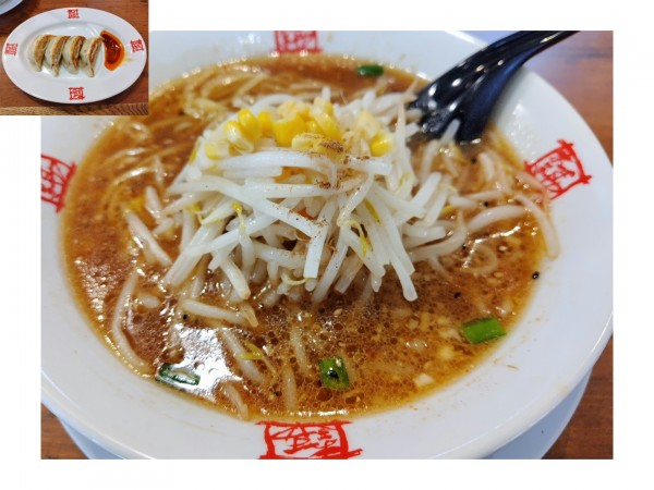 「しょうゆ　＋焼きギョーザ（４ケ）：サービス」@おおぎやラーメン 長野大町店の写真