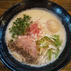 豊潤はやぶさ（味玉付き）