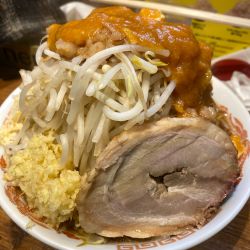 フュージョン　全部（ニンニク　生姜　野菜）900