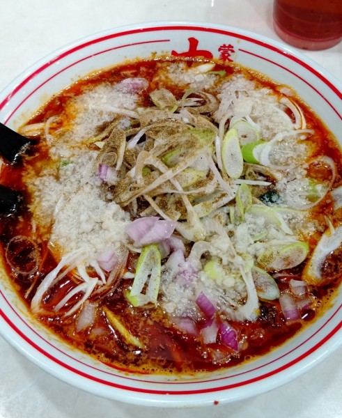 「勝浦風トンタンメン」@蒙古タンメン 中本 千葉店の写真