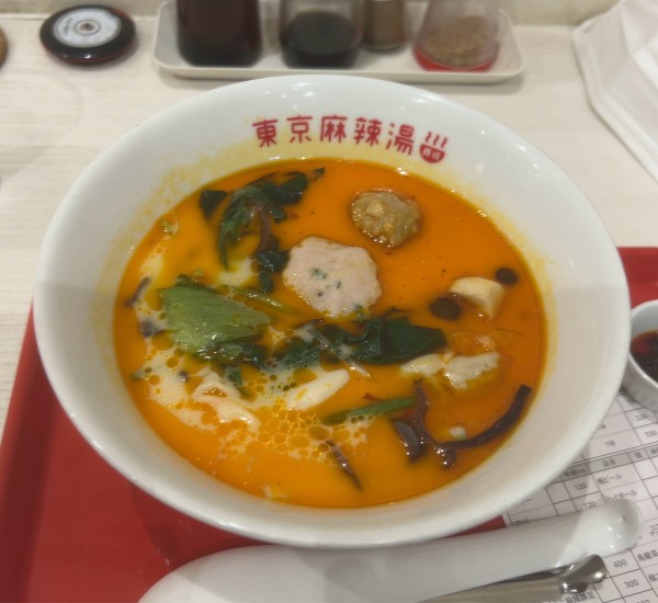 「麻辣湯 3辛 シビレ普通 1069円」@薬膳スープ春雨専門店 東京麻辣湯 ペリエ千葉店の写真