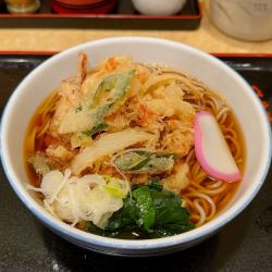 かき揚げそば(460円)